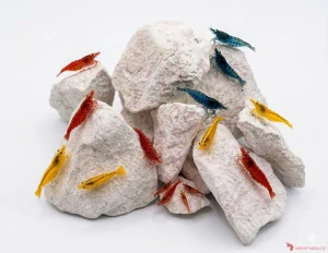 Shrimp Mineral Rocks 120g
