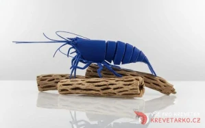 Cholla wood odřezky 50g