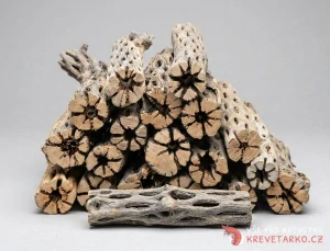 Cholla wood 15cm XXL